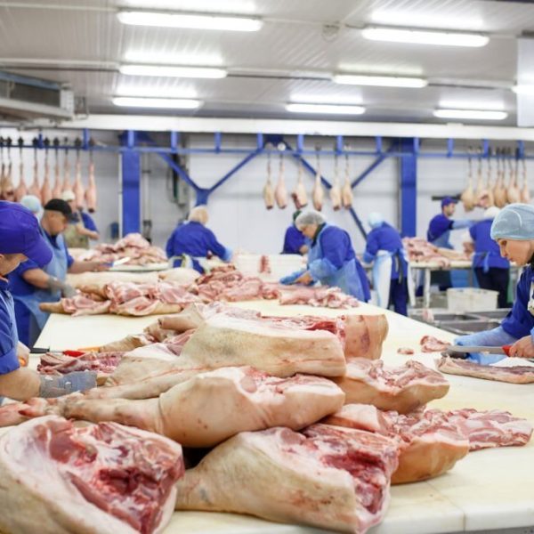 Cutting meat in slaughterhouse. Butcher cutting pork at the meat manufacturing