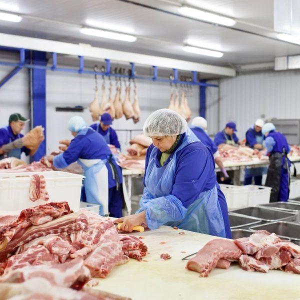 Cutting meat in slaughterhouse. Butcher cutting pork at the meat manufacturing